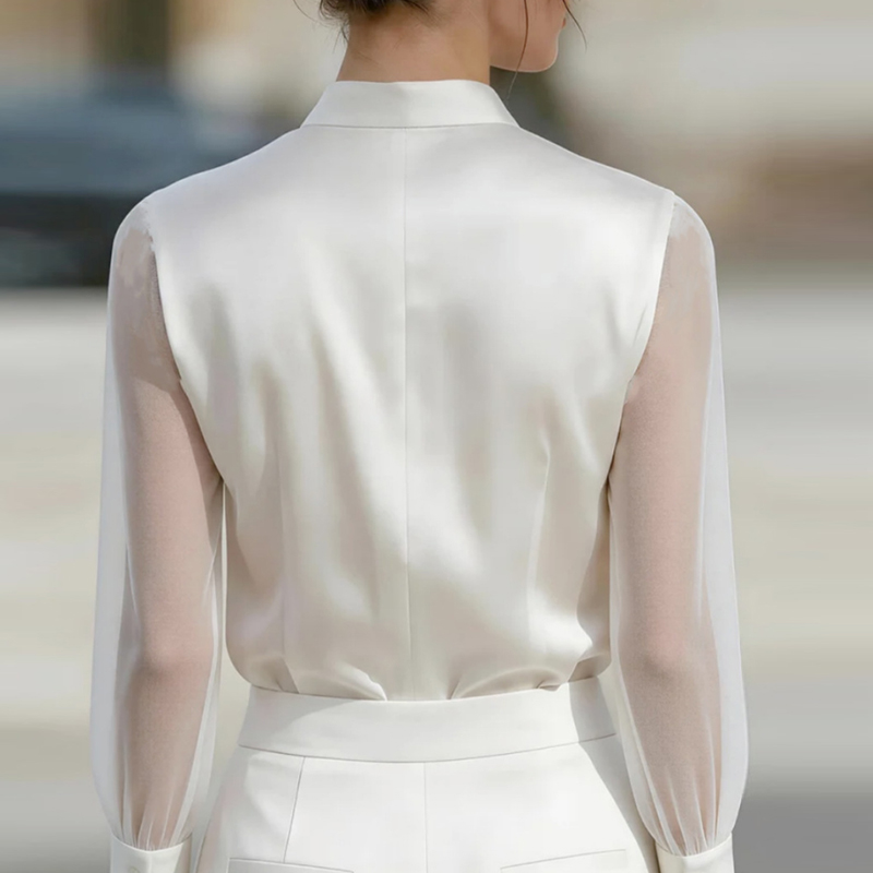 Neue Mesh-Transparente Modisch – Silk Blouse Bewertung und Preis